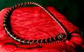 Snake Whip Red / Black (Singletail)