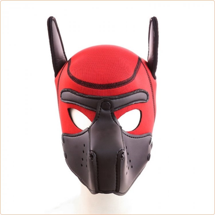 Neoprene Puppy Hood Yellow / Black