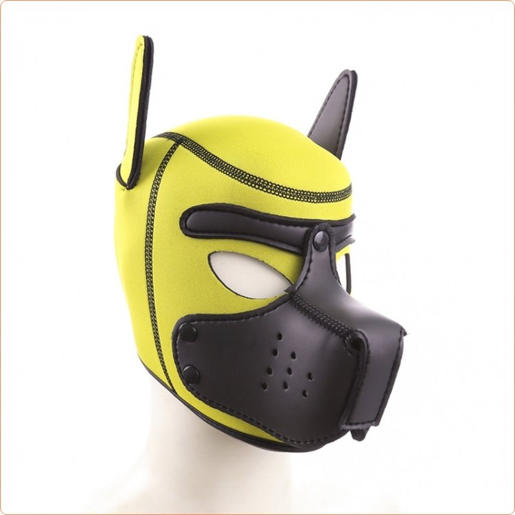 Neoprene Puppy Hood Yellow / Black