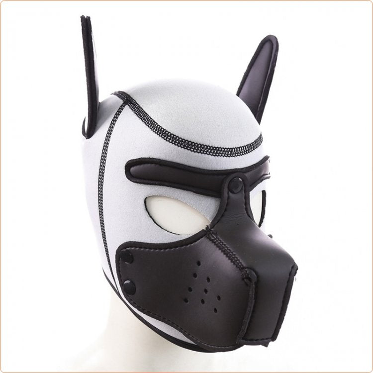Neoprene Puppy Hood Yellow / Black