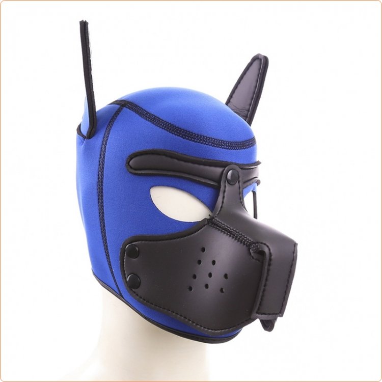 Neoprene Puppy Hood Yellow / Black