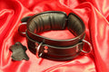 Låsbar Lädercollar med Svart Kant, 3 D-ringar