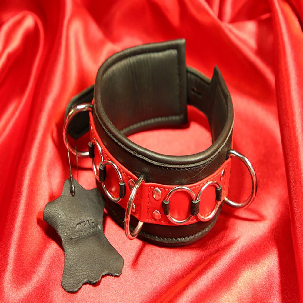BDSM-halsband dekor ringar – svart/rött vadderat läderhalsband – närbild dekorativa metallringar och rött kantband från Chambers of Love