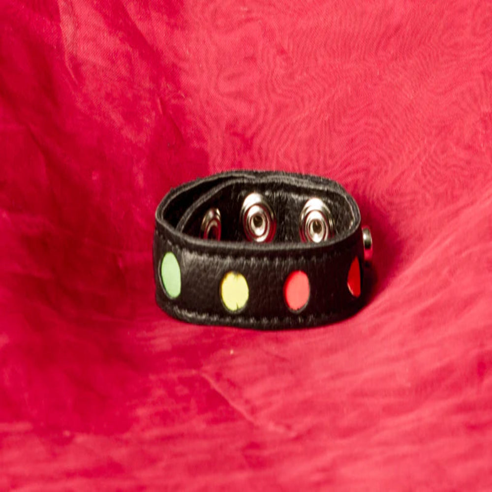 Penisring i PU från Chambers of Love med Pride färger och längd på 24,5 cm. handla online eller i butik