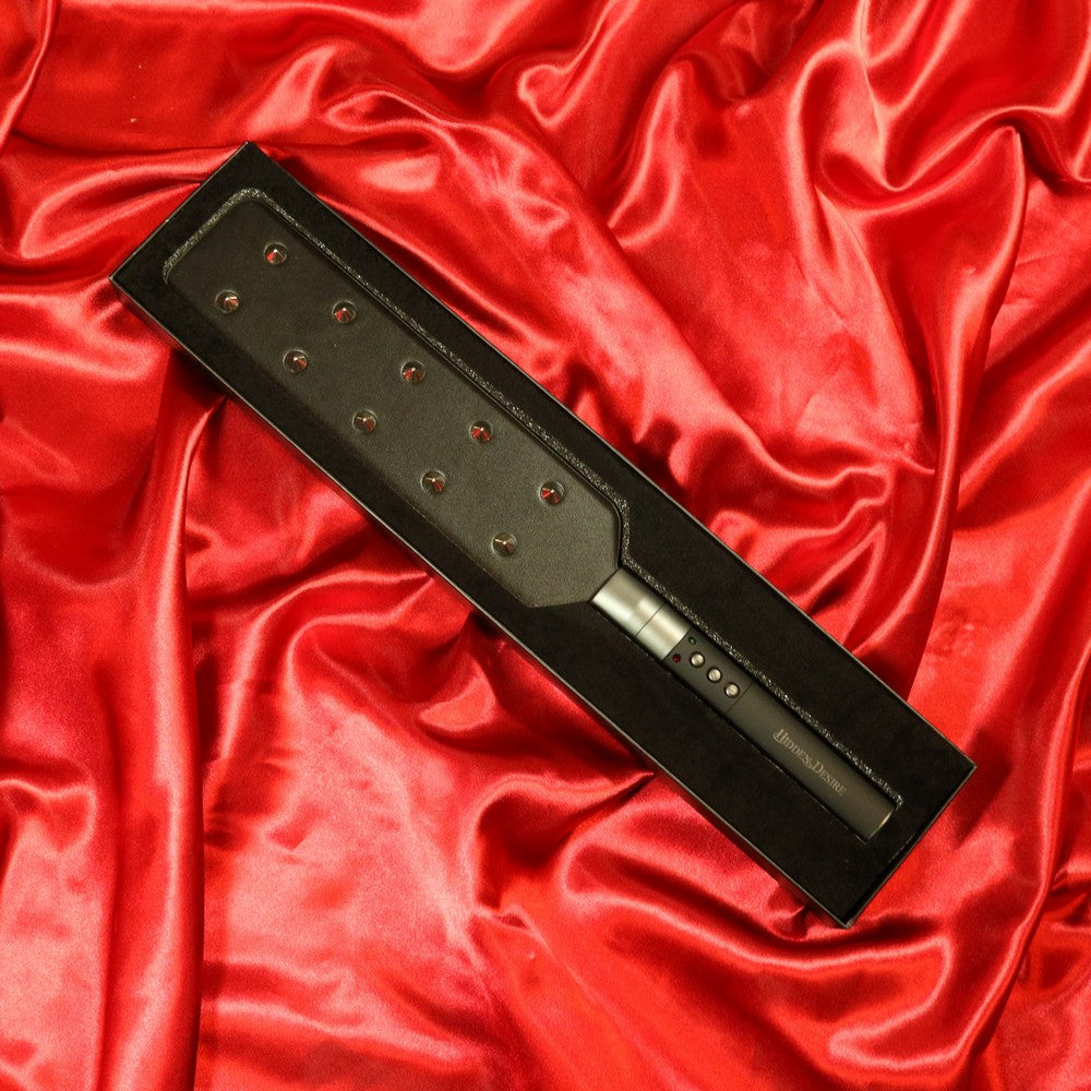 BDSM Extreme Electro Paddle