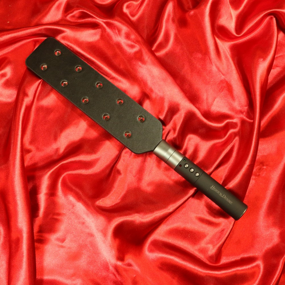 BDSM Extreme Electro Paddle