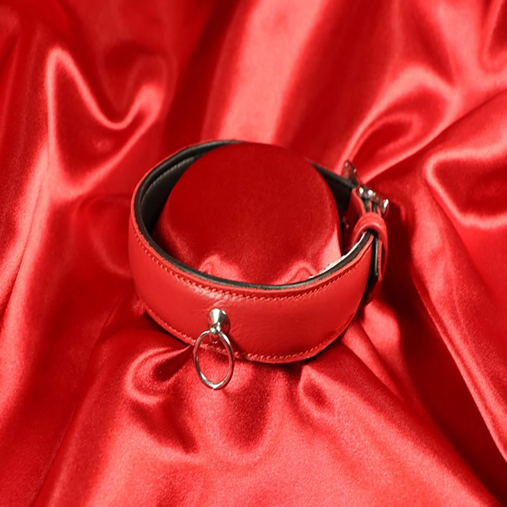 Fodrat BDSM-halsband