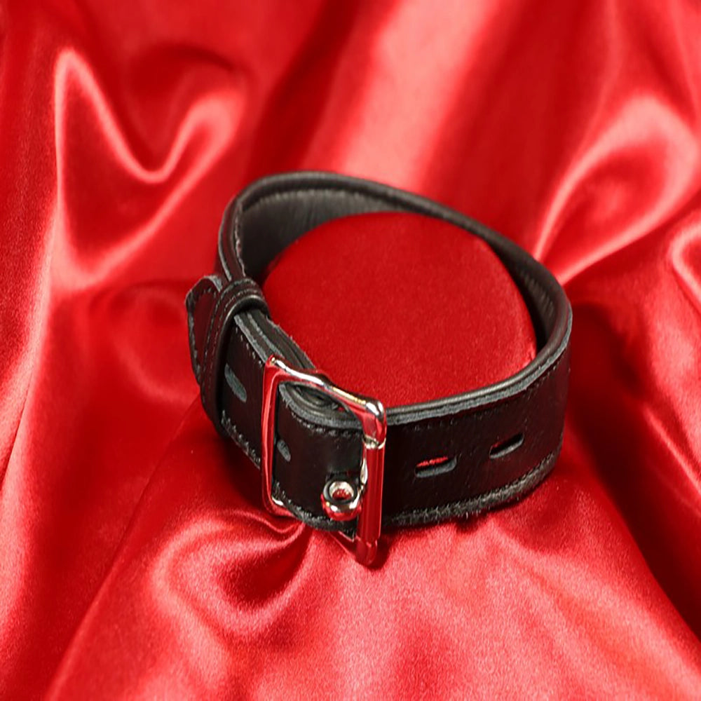 Fodrat BDSM-halsband