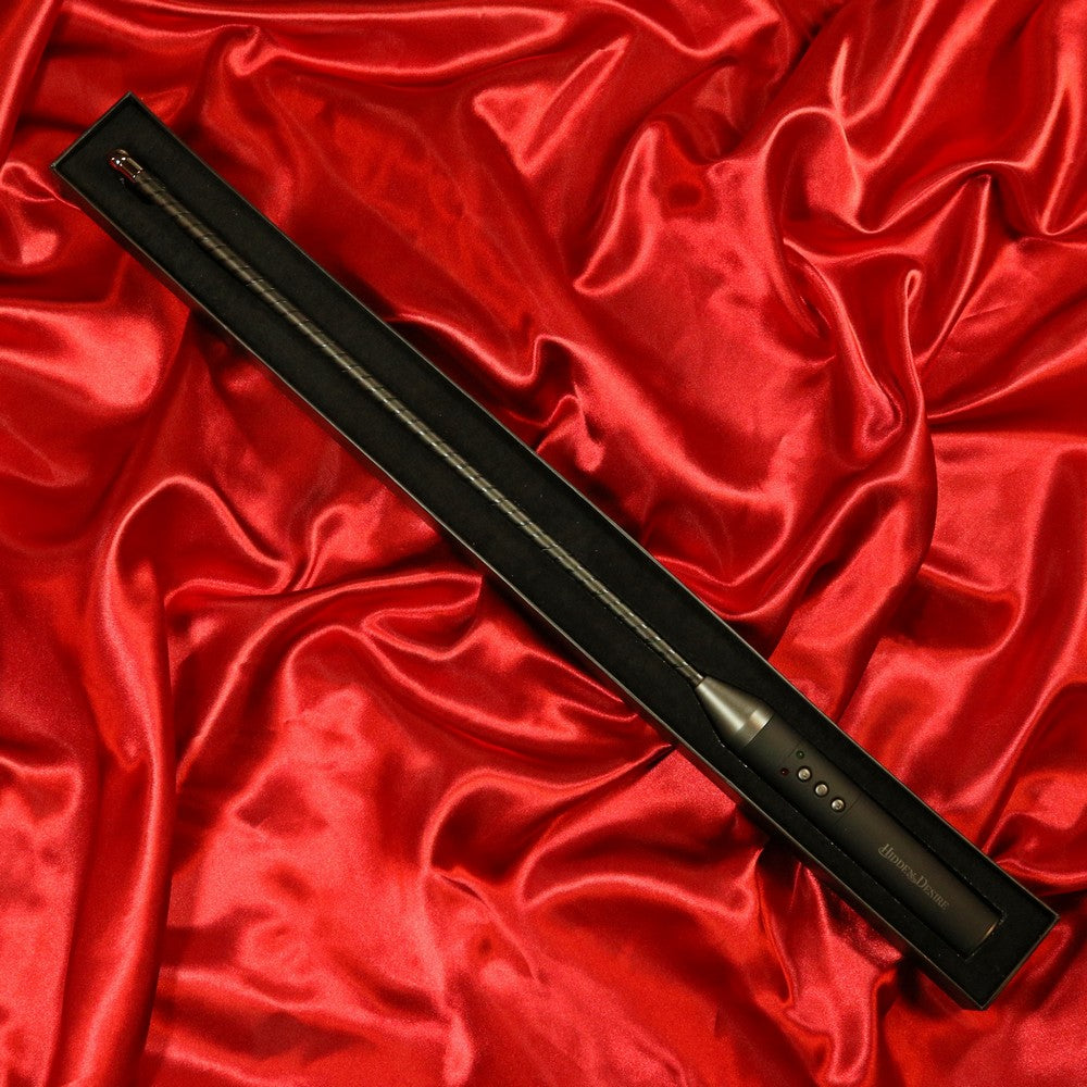 BDSM Extreme Electro Cane