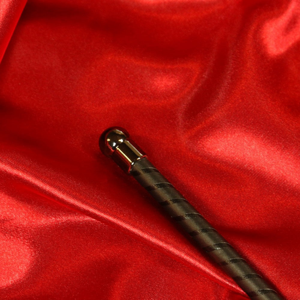 BDSM Extreme Electro Cane