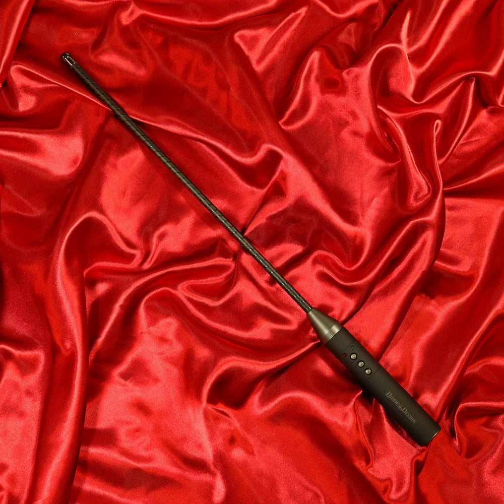 BDSM Extreme Electro Cane