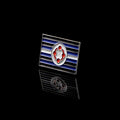 Pins Fetishism pride