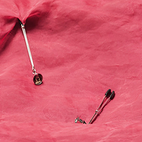 Tweezer Nipple Clamps m Klocka
